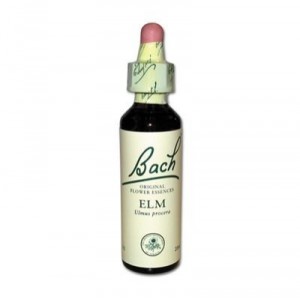 FLEURS DE BACH Elm - Flacon de 20 ml (Vincent Bach)