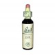 FLEURS DE BACH Elm - Flacon de 20 ml (Vincent Bach)