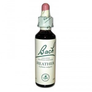 BACH FLOWERS Heather - 20 ml bottle (Vincent Bach)