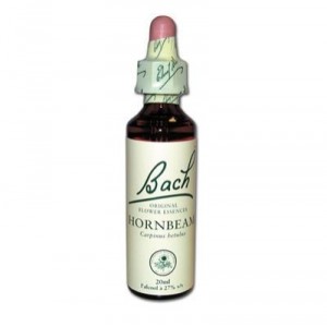 BACH FLOWERS Hornbeam - Bottle of 20 ml (Vincent Bach)