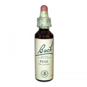 BACH FLOWERS Pine - 20 ml bottle (Vincent Bach)