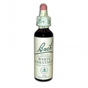 FLEURS DE BACH White Chestnut - Flacon de 20 ml (Vincent Bach)