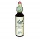 FLEURS DE BACH Willow - Flacon de 20 ml (Vincent Bach)