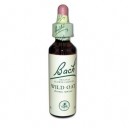 Folle Avoine (Wild Oat) 36 - Fleur de Bach original - Famadem (Vincent Bach)