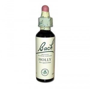 Holly (Holly) 15 - Original Bach Flower Remedy - Famadem (Vincent Bach)