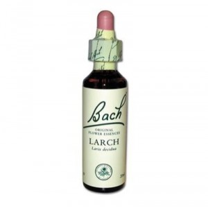 Vincent Bach Larch (Larch) 19 - Original Bach Flower Remedy