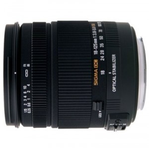 Sigma 18-125mm f/3.8-5.6 Objectif pour Sony