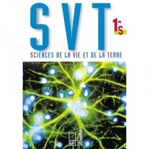 S.v.t. 1e S 2000 Eleve - Andre Duco