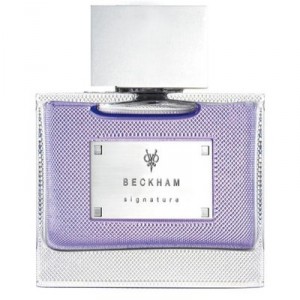 Signature By David Beckham Eaux de toilette pour Homme