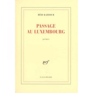 Passage Au Luxembourg - Hedi Kaddour
