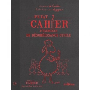 Petit Cahier D'exercices De Desobeissance Civile - Jacques De Coulon