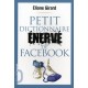 Petit Dictionnaire Enerve De Facebook - Eliane Girard