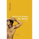 Petite Chronique Du Desir - Seguy Andre