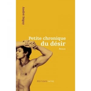 Petite Chronique Du Desir - Seguy Andre