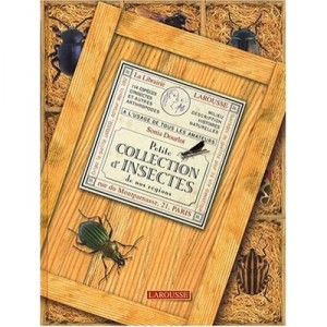 Petite Collection D'insectes De Nos Regions - Collectif