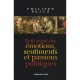 Petit Traite Des Emotions, Sentiments Et Passions Politiques - Philippe Braud