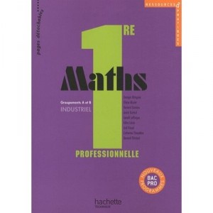 Ressources  Pratiques, Mathematiques , 1ere Professionnelle Bac Pro , Groupements A Et B Industriel , Livre De L'eleve (edition