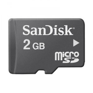 SanDisk 2 GB microSD Memory Card (029684)