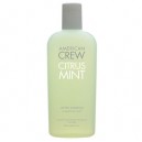 American Crew Citrus Mint Shampoo