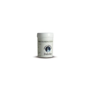 DELATEX Phytothérapie Crème Phytominceur