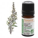 Florame Inule odorante Bio Inula graveolens Huile essentielle