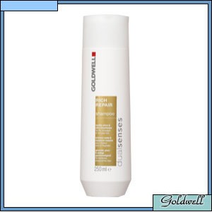 Goldwell DualSenses Rich Repair Shampoo