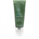 Paul Mitchell Soin Cheveu Hair Scalp Treatment Traitement Des Cheveux