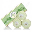 Roger and Gallet GALLET Savon Frais FOUGERE