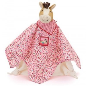 Paula the horse blanket