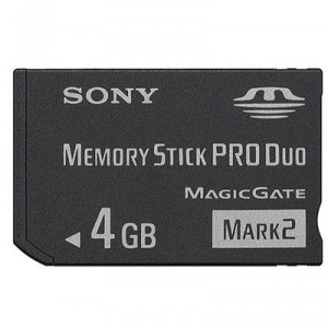 Sony (MSMT4G) Carte Memory Stick Duo Pro