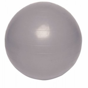 Everlast EF7736SL - Box and elastic ball - Grey