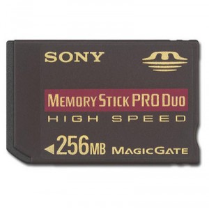 Sony (MSX-256N) Carte Memory Stick Pro