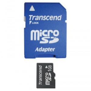 Transcend Carte Micro Secure Digital (Micro SD) - Carte Mémoire Flash - 1 Go (TS1GBMICRO-1)