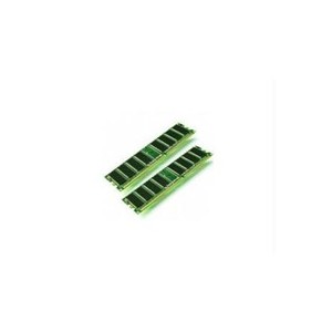 Apple - MB193G - Mémoire PC - 800MHz FB-DIMM ECC 2 x 2 - DDR2 RAM 2 x 2 Go (MB193G/A)