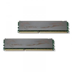 Mémoire PC G.Skill ECO Series 2 x 2 Go (F312800CL8D4GBECO)