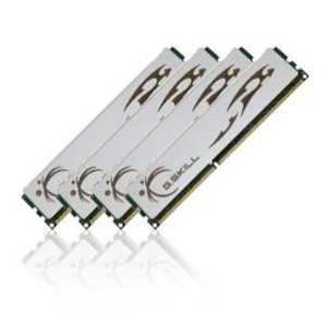 Mémoire PC G.Skill ECO Series 8 Go (1453272000)