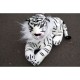 Bullyland Tigre Mâle Blanc - Schleich 14382