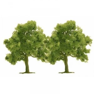 Hornby France - Busch - 6857 - Circuit - Train - 2 Arbres fruitiers assortis