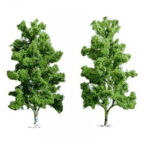Hornby France - Busch - 6956 - Circuit - Train - 2 matching birch