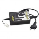 Carson Optical Carson - 605016 - Chargeur rapide 2A Delta Peak (Import Allemagne)