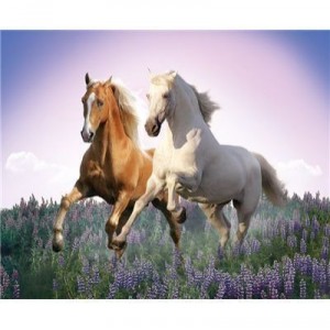 Clementoni - 302871 - Puzzle - Free Horses - 500 pièces