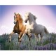 Clementoni - 302871 - Puzzle - Free Horses - 500 pièces