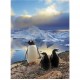Clementoni-30375-Puzzle Enfant 500 pc-Penguins