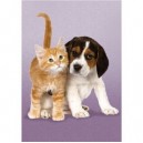 Clementoni-30379-Puzzle Enfant 350 pc-The Odd Couple