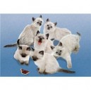 Clementoni-30393-Puzzle 500 pc-Butterfly cats