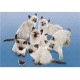 Clementoni-30393-Puzzle 500 pc-Butterfly cats