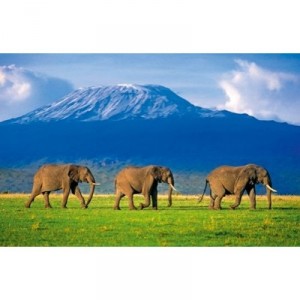Clementoni - 31954 - Puzzle - 1500 Pièces - High Quality - Elephants