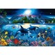 Clementoni-36514-Puzzle 6000 pc-Majestic Kingdom