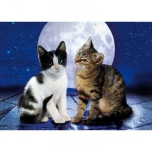 Clementoni - 390861 - Puzzle - Cats and The Moonlight - 1000 pieces