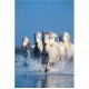 Clementoni-39125-Puzzle 1000 pc-Horses